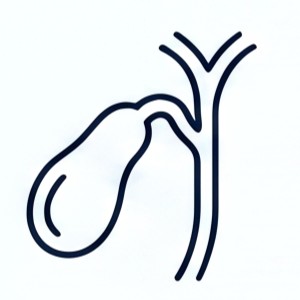 Chirurgia colecisti | Dott Paolo Boati | Milano